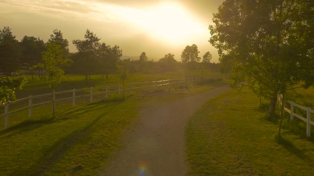 AERIAL: Flying over the path and green grass fields into the dramatic sunrise