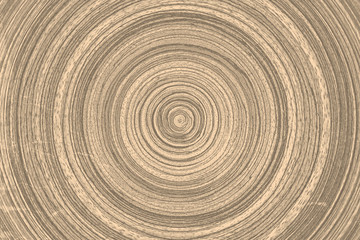 Grunge wooden wooden background - layer for photo editor. - obrazy, fototapety, plakaty
