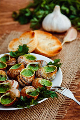 Escargots de Bourgogne - Snails with herbs butter, gourmet dish in French traditional  with parsley and bread on white platter