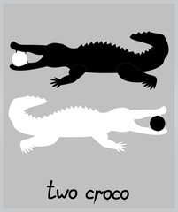 two crocodile white and black