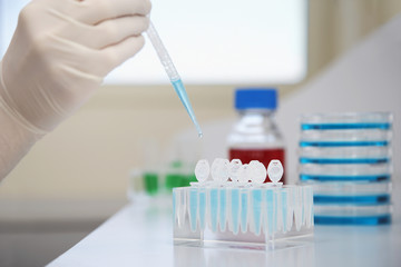 Closeup of a scientist's gloved hand filling test tubes with pipette in laboratory 