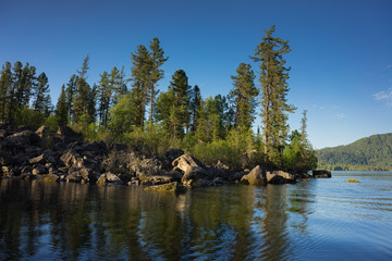 Fototapeta premium forest by the lake