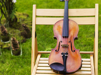 Violin. Violin outdoors. Live music. Wedding.Musician for the wedding.Violin under the open sky
