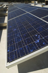 Closeup of solar panels for renewable energy production