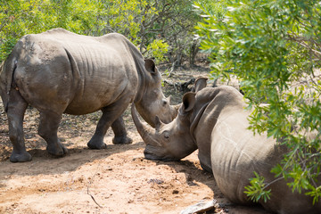 Naklejka premium Recreation Area