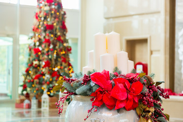 Christmas decoration. Red leaves.  clearance