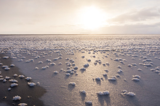 Frost flowers formed on thin sea ice when the atmosphere is much colder than the underlying ice, Greenland, Denmark