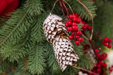 Cones sprinkled with snow