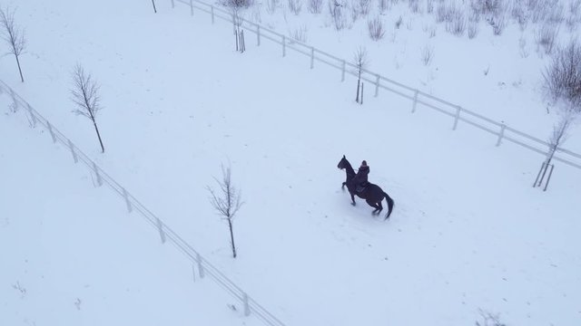 AERIAL: Young female rider horseback riding horse in winter wonderland