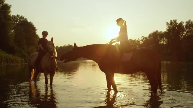 CLOSE UP: Two strong horses with riders standing in shallow river at sunrise