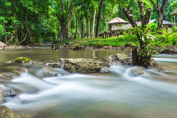In the middle of the streamlet at Khao Laem National Park Kanchanaburi district, Thailand.