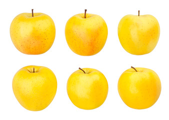 golden delicious apples