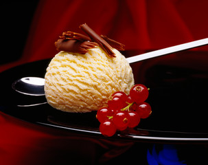 Vanilla ice cream