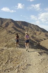 Fototapeta premium Rear view of multiethnic women jogging in mountains