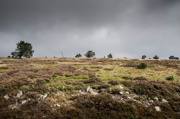 mont lozère