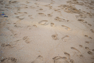 Footprints on the beach