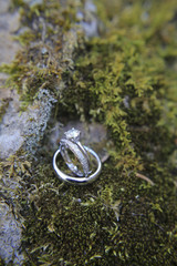 Wedding Rings on a Moss Covered Rock