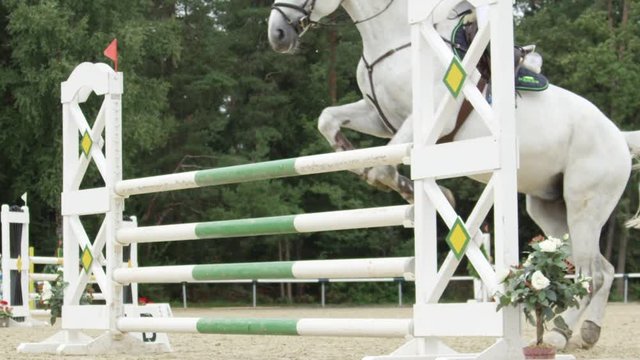 SLOW MOTION: Rider on a white horse competing in equestrian showjumping event
