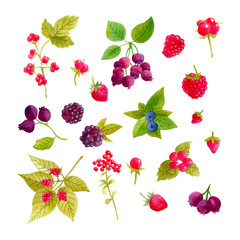 Set of watercolor juicy  berries