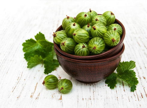 gooseberries with leaves