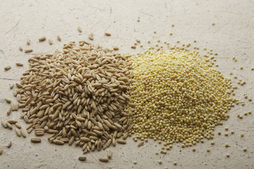 Closeup of wheat and oat grains