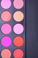 Professional multi colored blushes palette