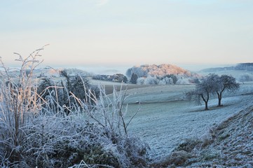 Wintermorgen im Odenwald bei Lautertal, Hessen, Deutschland