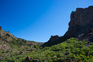 Canyons Of Gran Canaria