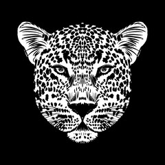 Leopard face tattoo ,Vector illustration, print