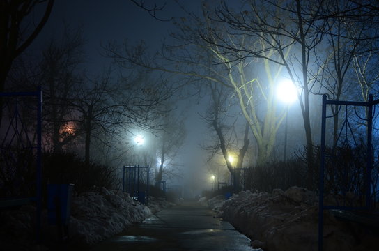 Misty Winter alley at night