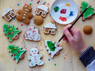Fototapeta na wymiar Girl painting christmas gingerbread with sweet icing