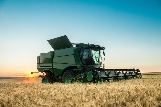 Combine harvester working on a wheat crop at sunset