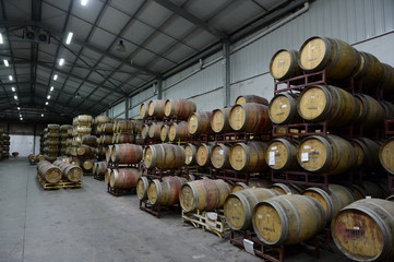 Wine barrels at the winery Santa Rita.