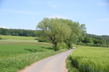 Feldweg