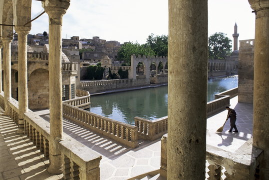 Sacred pools (golbasi) surrounded by mosques and Koranic colleges (medresse), Urfa, Kurdistan, Turkey, Anatolia Minor