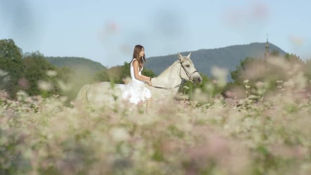 DOF: Girl in white dress bareback riding white horse on white flowering field