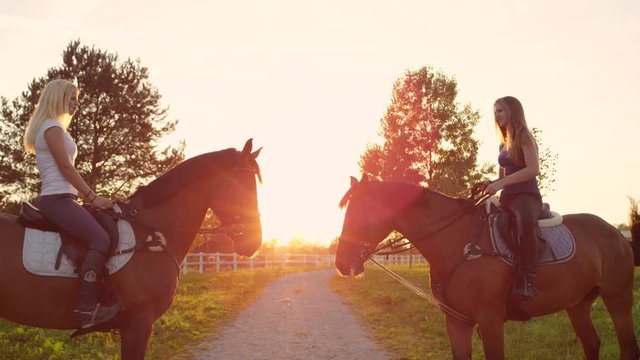 SLOW MOTION: Two amazing horses with riders facing each other at golden sunset