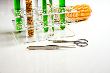 Biotechnologie - Erforschung von Wachstumsvorgängen, Laborutensilien