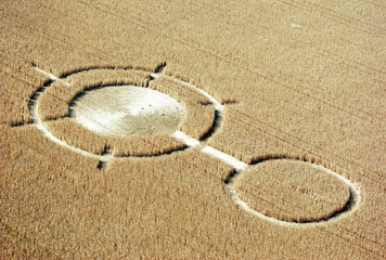 Aerial view of crop circles in a wheat field, Wiltshire