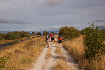 Fototapeta premium Pilgrimns along the way of St. James
