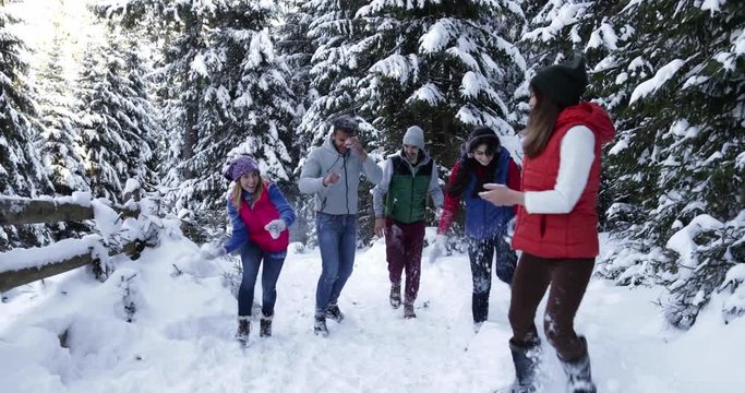 Group Of People Winter Snow Forest Walk Happy Friends Having Fun Play Snowballs In Snowy Park Slow Motion 60