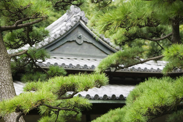 Fototapeta na wymiar Japan Tokyo Tokyo Imperial Palace Rooftop of Otemon (East Gate) seen through trees