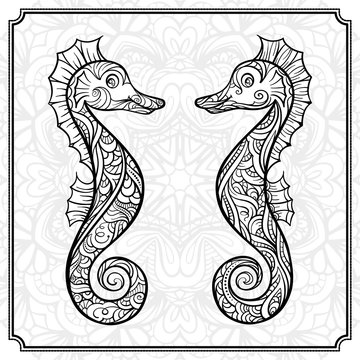 Stylized seahorses adult coloring page