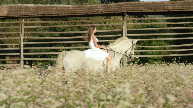 SLOW MOTION: Innocent young woman riding white horse in pink blossoming field