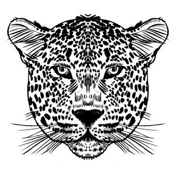 Leopard face tattoo ,Vector illustration, print