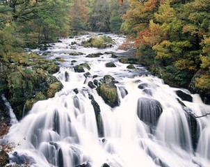 Swallow falls, Betws-y-coed, Gwynedd, Wales