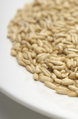 Closeup of raw wheat grains in a plate