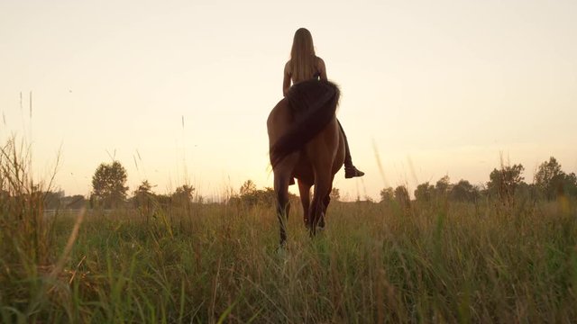 LOW ANGLE VIEW: Cheerful young girl on mighty horse riding into golden sunrise