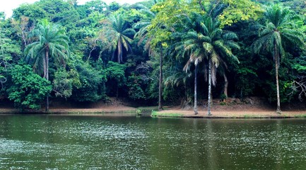 Beautiful lake in Africa. Democratic Republic of the Congo.