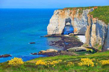 Manneporte, falaise d'Étretat au printemps, Normandie 